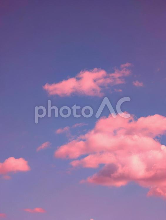 美しいピンク色の夕焼け 夕焼け,早朝,壁紙の写真素材
