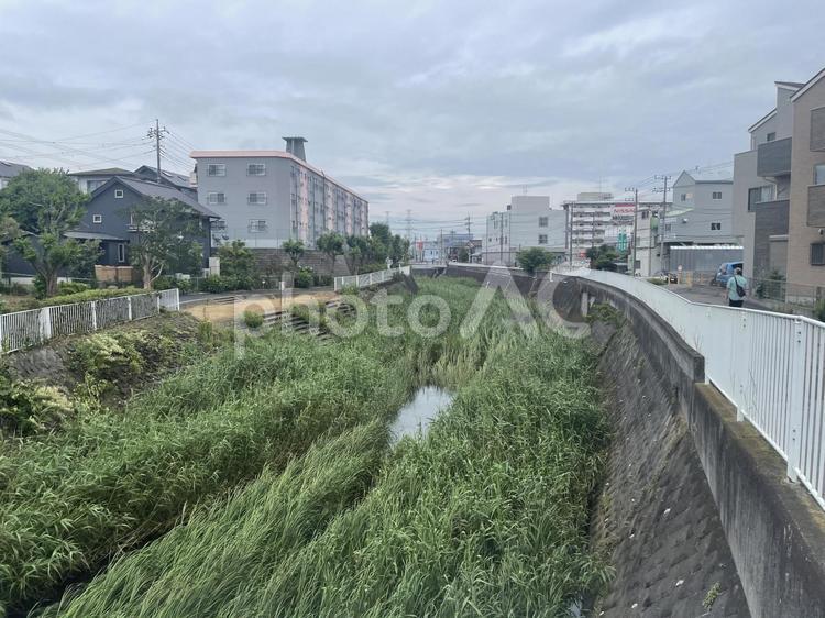 平戸永谷川　風景 平戸永谷川,風景,横浜の写真素材