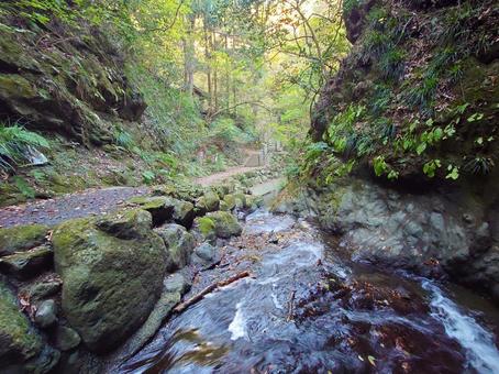 塩川滝の下流 川,渓流,小川の写真素材