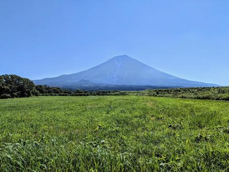 朝日を浴びる朝霧高原 朝日を浴びる朝霧高原の写真