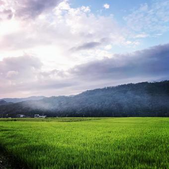 青空と草原 青空と草原の写真