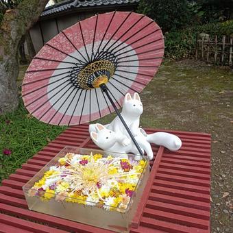 花手水 お稲荷さん,菊の花,カラフルの写真素材