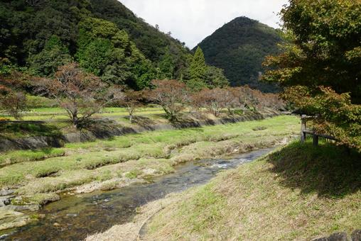 小川の風景 川,流れ,風景の写真素材