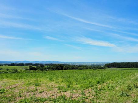 夏の景色44 夏の景色44の写真