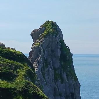 猿岩 猿岩の写真