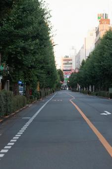 早朝の道路 早朝の道路の写真