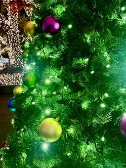 冬の光② クリスマスツリー,クリスマス,冬の写真素材