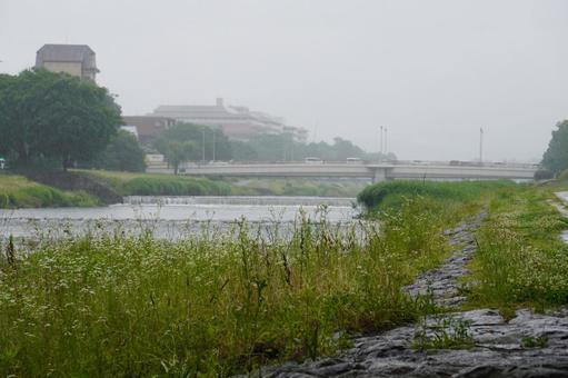 京都 鴨川の風景 京都 鴨川の風景の写真