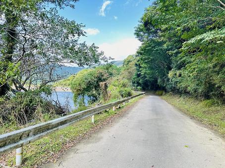 呉ダム　秋の公園の写真