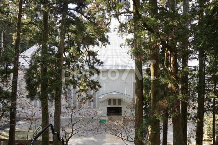工事中の延暦寺根本中堂 延暦寺,金堂,改修工事の写真素材
