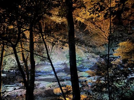 菊池渓谷 菊池渓谷,熊本,ライトアップの写真素材