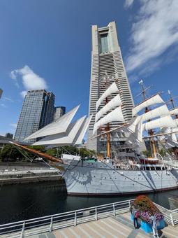 日本丸 総帆展帆 日本丸 総帆展帆 日本丸,総帆展帆,みなとみらいの写真素材