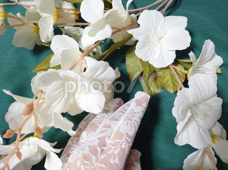 ウエディングフォト ズーム,春爛漫,フラワーの写真素材