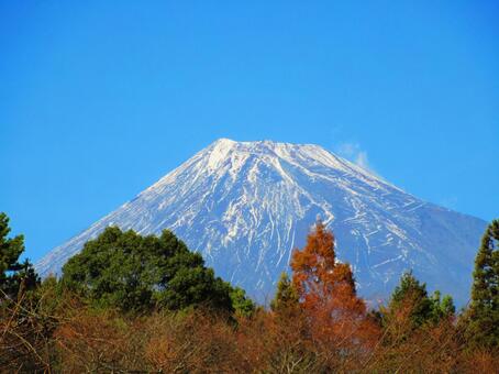 公園から見える富士山2 公園から見える富士山2の写真