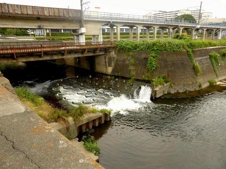 横浜市栄区いたち川、柏尾川との合流点 川,河川,支流の写真素材