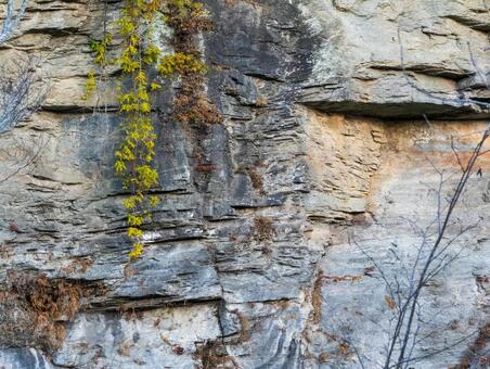 長瀞岩畳 長瀞,紅葉,風景の写真素材