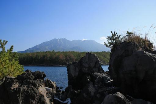 溶岩なぎさ遊歩道から見た桜島 溶岩なぎさ遊歩道から見た桜島 桜島,火山,活火山の写真素材