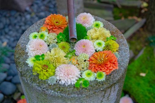 彩り豊かな花手水 花手水,手水,花の写真素材