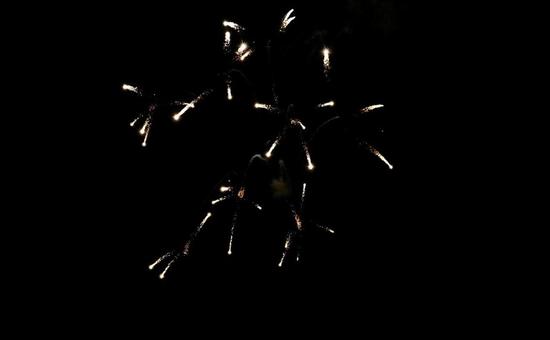 ひたむきな恋の写真