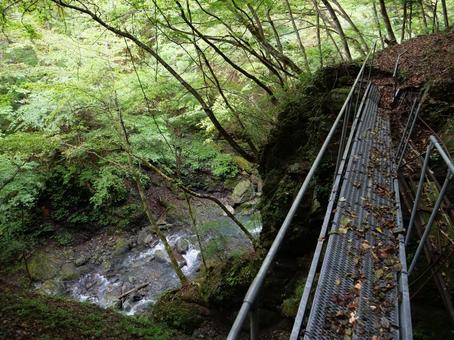 笊ヶ岳 登山道 傾いた橋 笊ヶ岳 登山道 傾いた橋の写真