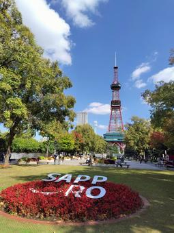 秋の大通公園 札幌 テレビ塔 秋の大通公園 札幌 テレビ塔 大通公園,テレビ塔,札幌の写真素材