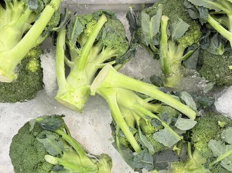 ブロッコリーの写真