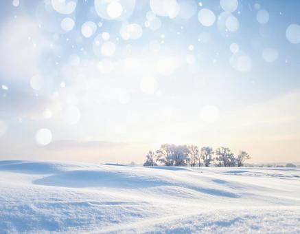 雪原に立つ木と冬の空 雪原に立つ木と冬の空の写真