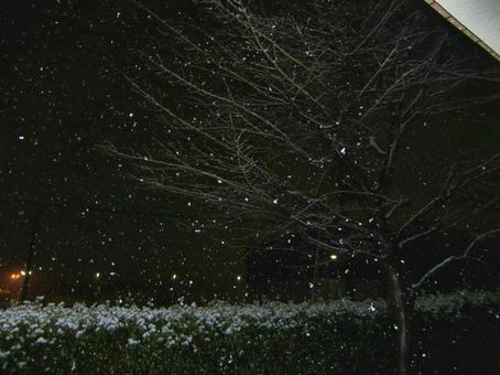 夜の雪のボケ背景-4 夜の雪のボケ背景-4の写真
