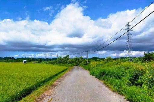 2025年8月の里山20 2025年8月の里山20 水田地帯,田んぼ,稲の写真素材