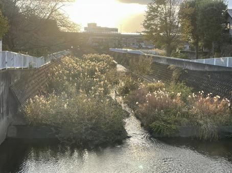 小川 小川の写真