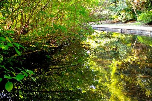小川 小川の写真