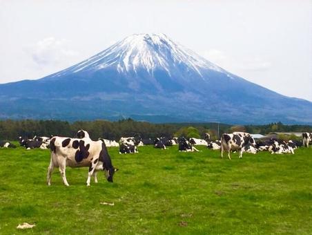 Asagiri Plateau Mount Fuji and cows, JPG Asagiri Plateau Mount Fuji and cows, JPG