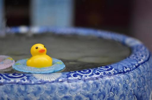 アヒル アヒル,水瓶,水の写真素材