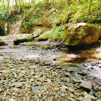 御堂新田の滝の風景 2025 御堂新田の滝の風景 2025 御堂新田の滝,玉吹の滝,滝の写真素材