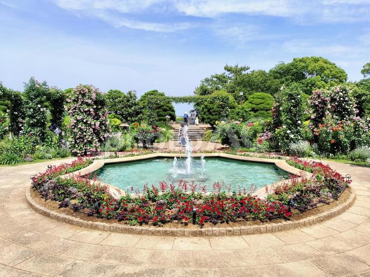 横浜山手港の見える丘公園　香りの庭と噴水 港の見える丘公園,香りの庭,噴水の写真素材