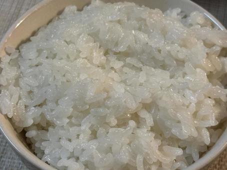 Photo, rice, meter, lunch, 