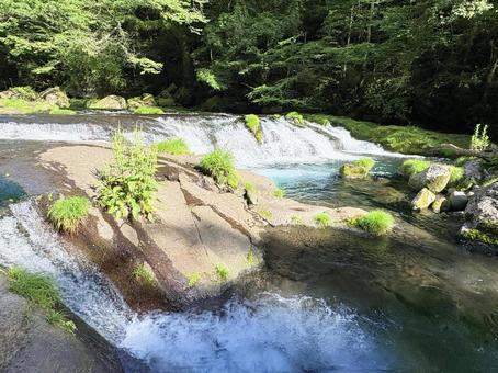 上流 上流,水,夏の写真素材