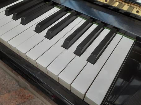 習い事で人気のピアノ ピアノ,鍵盤,楽器の写真素材