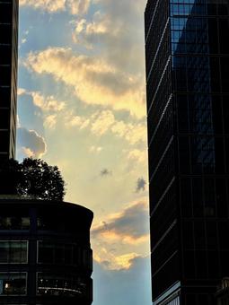 東京の夕暮れ時 東京の夕暮れ時の写真