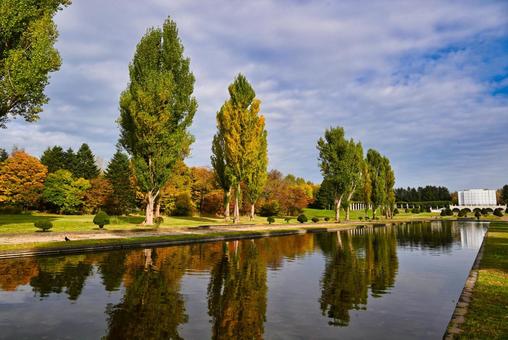 秋の前田森林公園 秋,前田森林公園,カナールの写真素材