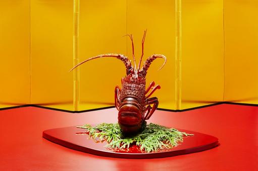 茹でた伊勢海老の飾り2 茹でた伊勢海老の飾り2 伊勢海老,エビ,正月の写真素材
