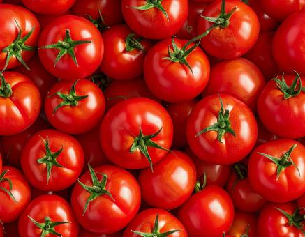 大量のトマトを敷き詰めた背景素材 1 大量のトマトを敷き詰めた背景素材 1の写真