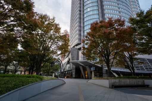 六本木ヒルズ　2025年11月 六本木ヒルズ,朝,東京の写真素材