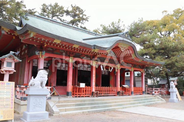 長田神社　拝殿 長田神社,ながたじんじゃ,拝殿の写真素材