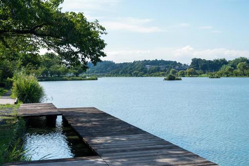 千波湖(茨城県水戸市) 千波湖(茨城県水戸市) 茨城県,水戸市,千波湖の写真素材