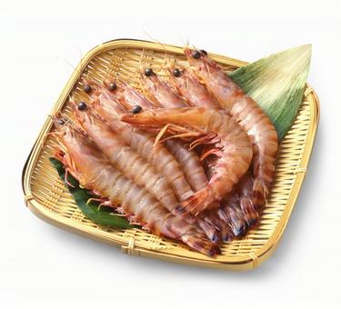 有頭えび ざる盛り 有頭えび ざる盛り 有頭エビ,海老,魚介類の写真素材