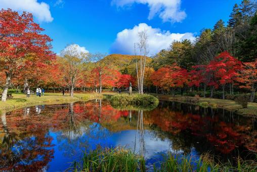 北海道の紅葉 北海道の紅葉 紅葉,秋,池の写真素材