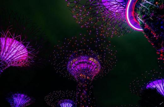 【シンガポール】ガーデンズバイザベイの写真