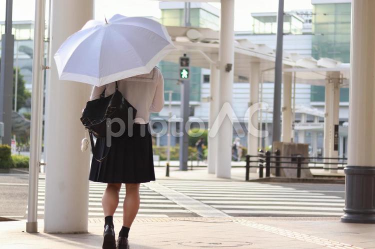 青信号横断（日傘） ポートレート,女性,日傘の写真素材