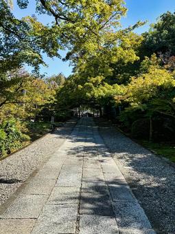 石畳 石畳,京都,寺社の写真素材